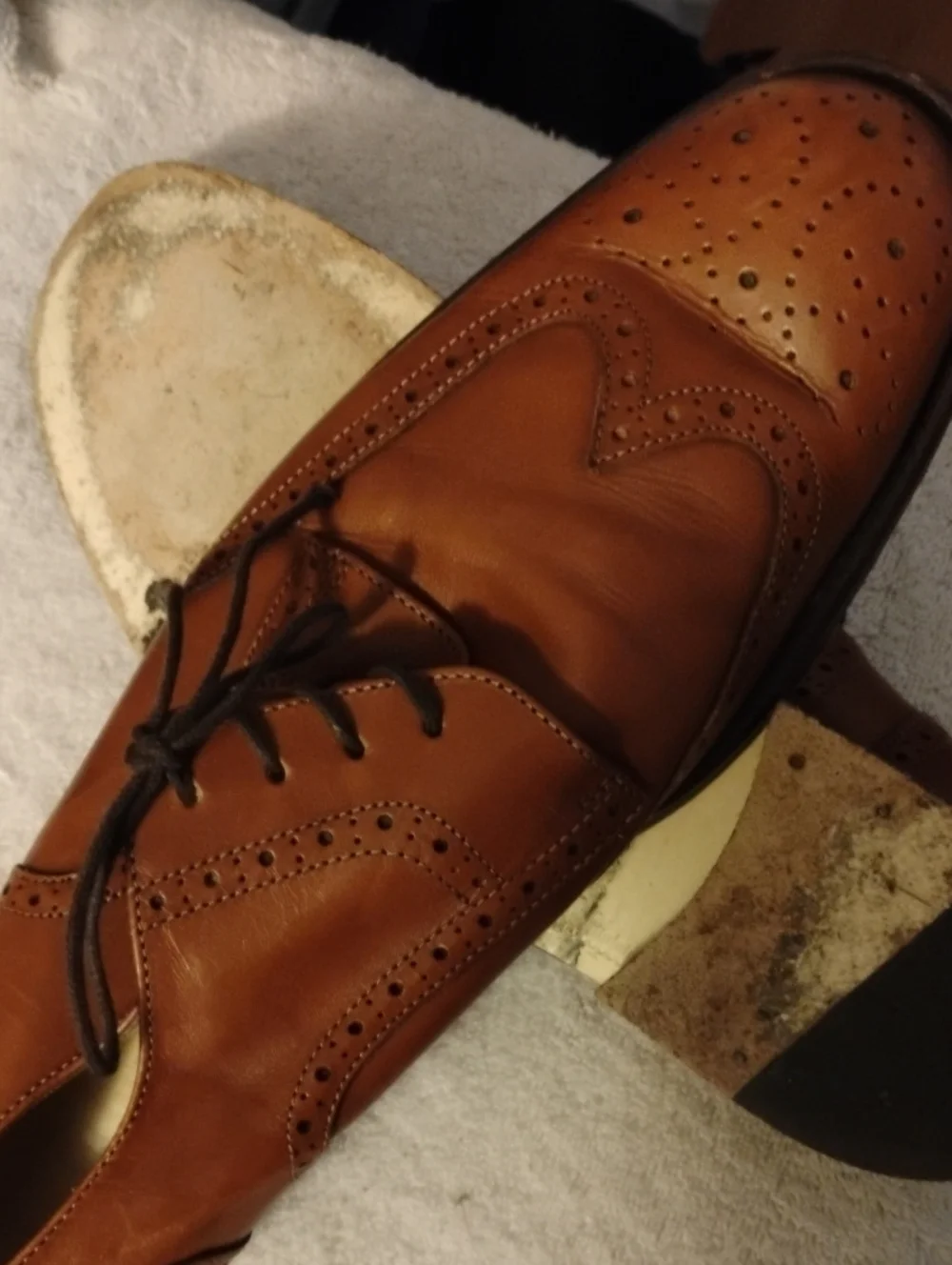 Tommy Hilfiger classic wingtip